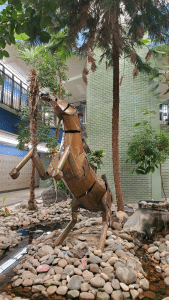 Ecosystem in the lobby of Cholla High School