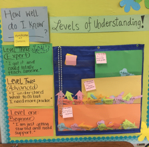 Another Example of a Data Wall with Levels of Progression