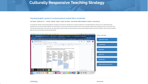 Screenshot of a multilingual learner teaching strategy from the MUSE platform