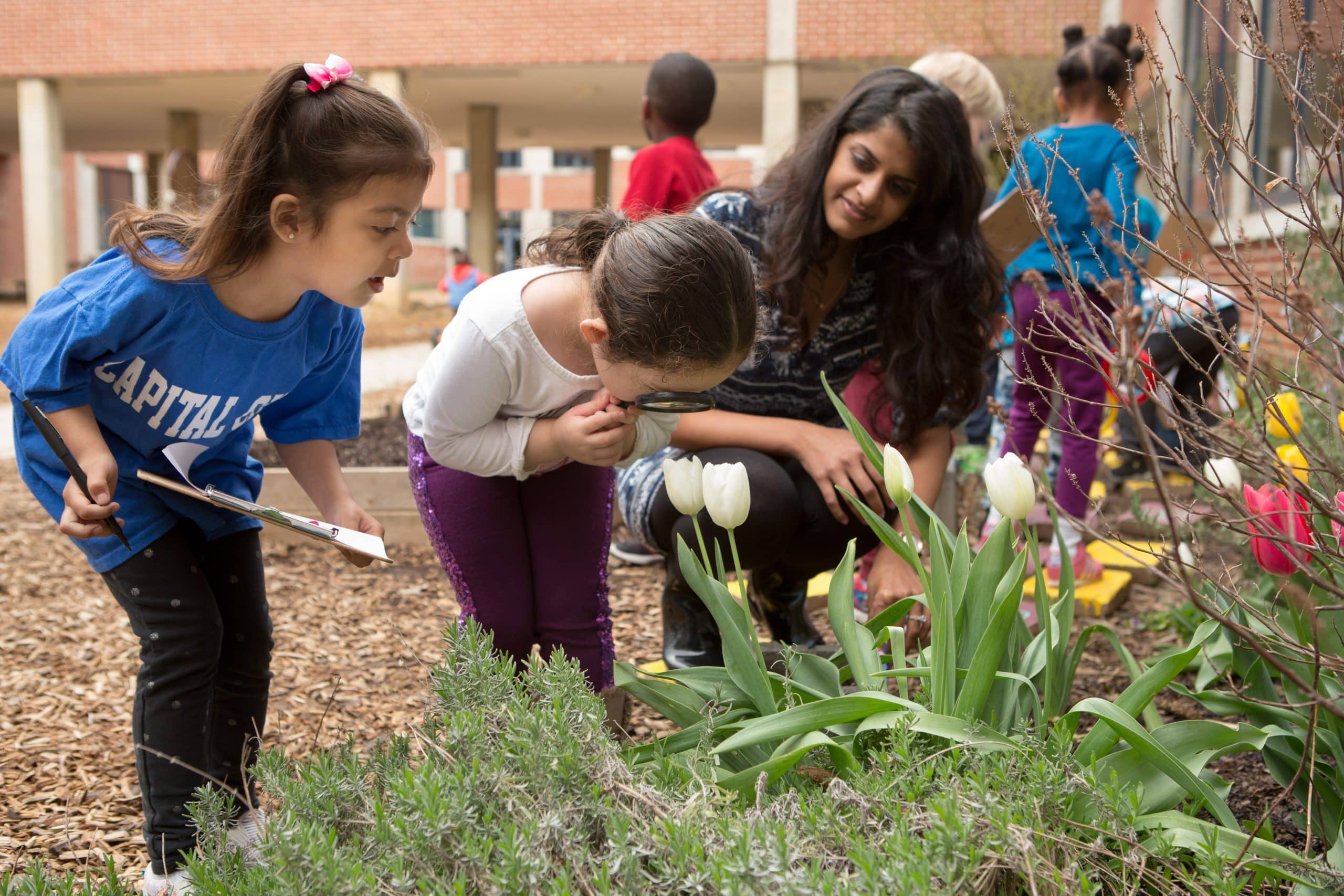 New Resource for Guiding Assessment Innovation - Aurora Institute