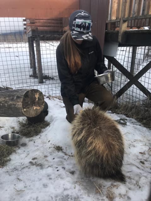 Student With Porcupine at Conservation Center