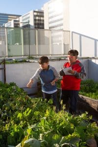 Two elementary students study the plants in their school garden.