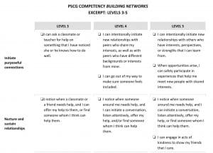 Excerpts of Building Networks Competency