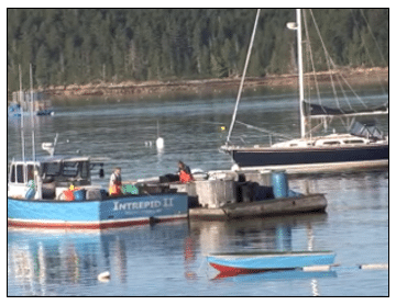 Student Activity in Harbor of Deer Isle-Stonington District