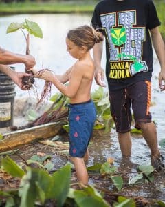 Children helping plant in the Lo'i Taro patch