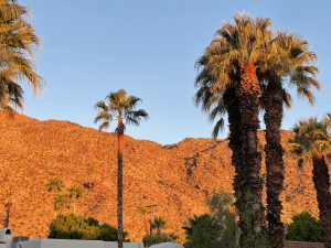 Palm Springs, CA