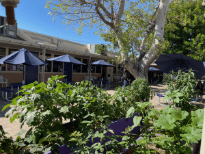 New Village Girls Academy Courtyard