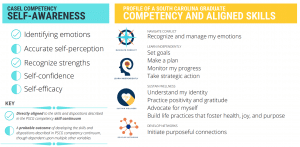 Self-Awareness Excerpt of Crosswalk