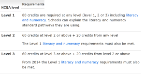 NCEA Requirements by Level