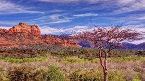 Sedona