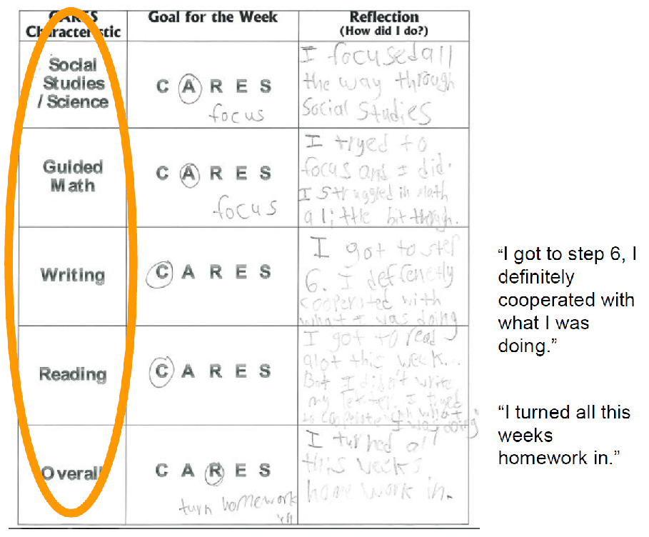 Terry Bolduc Graphic Organizer