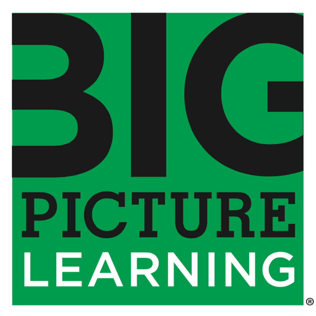 Big picture. Big picture Learning школа. The big picture. Big picture лого. Big picture Learning главное это профориентация.