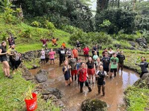 Group in the Lo'i Taro patch